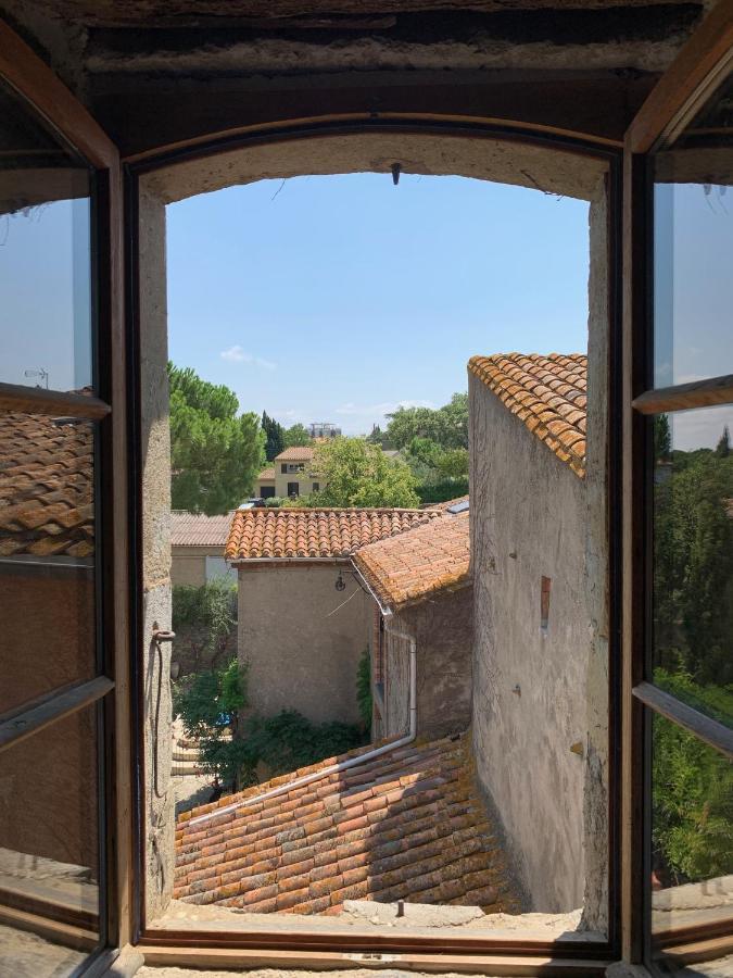 Le Chai De Marguerite Peyriac-Minervois Exterior foto