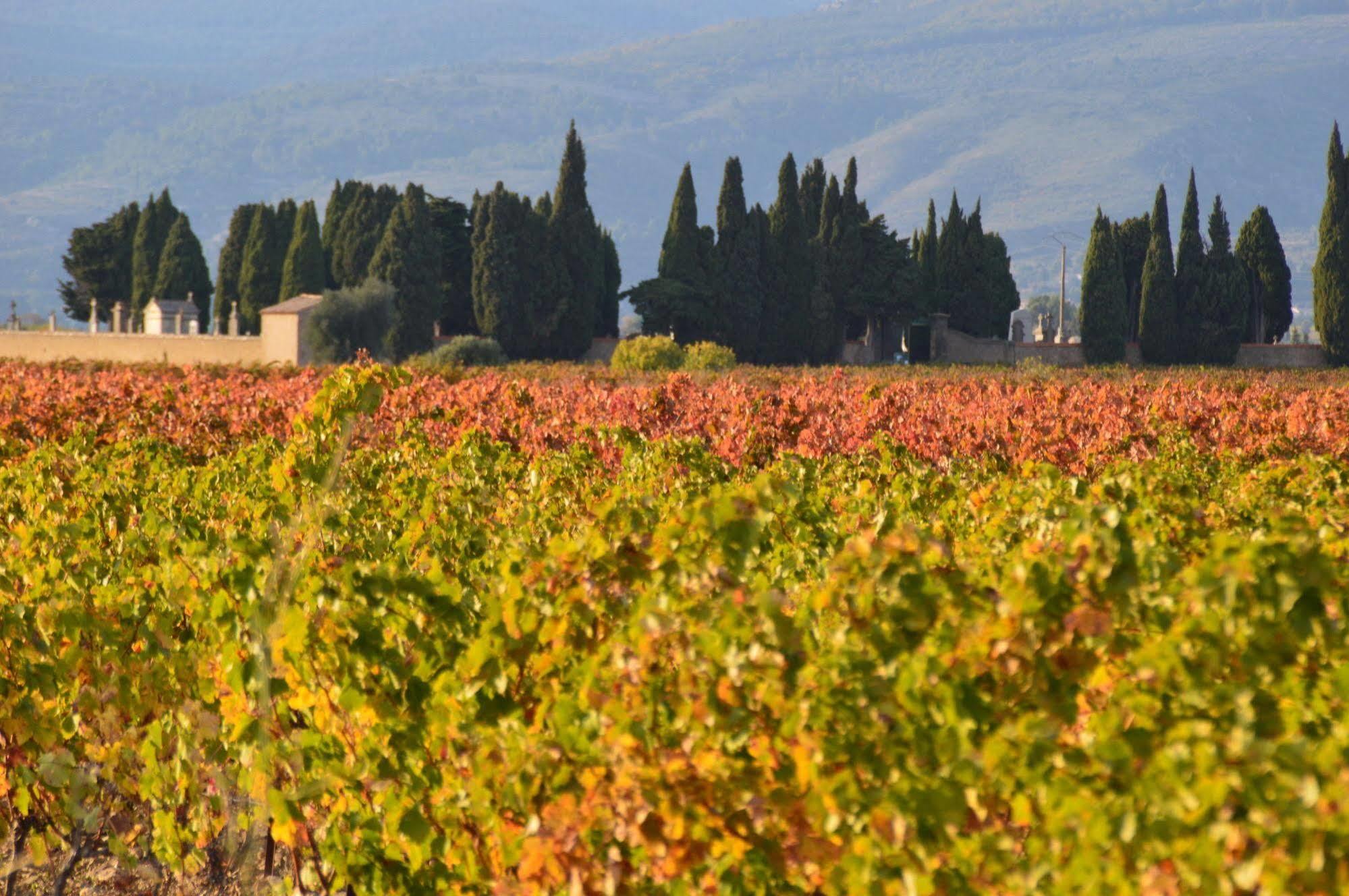 Le Chai De Marguerite Peyriac-Minervois Exterior foto